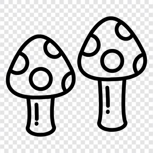 mushroom, wild, edible, cultivation icon svg