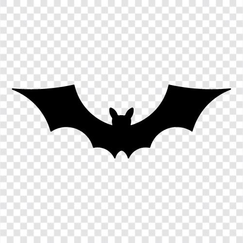 mutant bat, flying fox, nocturnal animal, Vampire bat icon svg