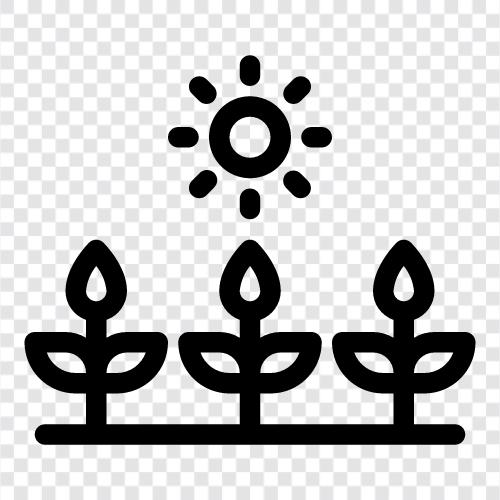 nature, flowers, trees, greenery icon svg