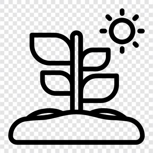 nature, botany, horticulture, gardening icon svg