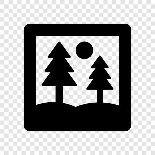 Nature, Trees, Forest floor, Wildflowers icon svg