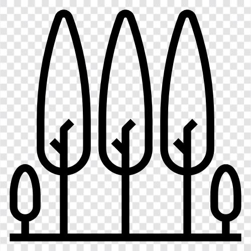Nadeln symbol
