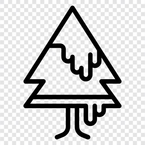 Nadeln, Baum, Kegel, Wald symbol