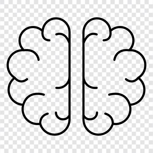 neuroscience, cognitive neuroscience, cognitive psychology, memory icon svg