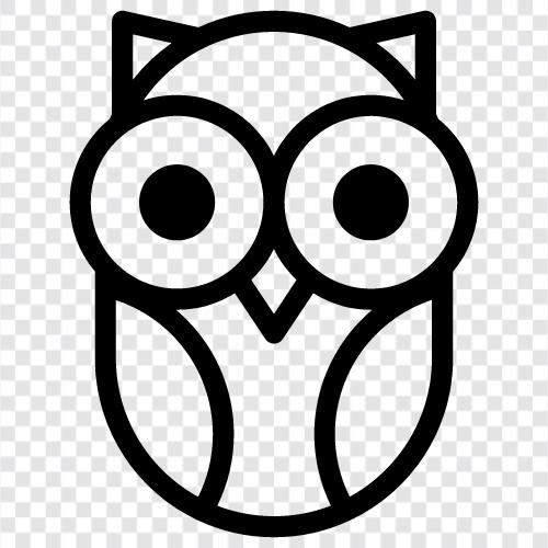 Night, Animal, Spectacled, Feathered icon svg