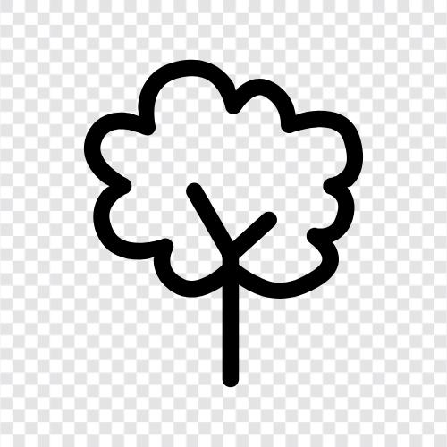 Oak, Forest, Nature, Environmental icon svg