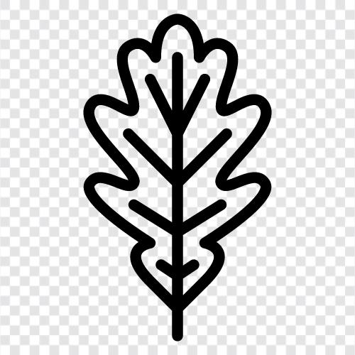 oak leaves, oak tree, oak leaves for wine, oak barrel icon svg