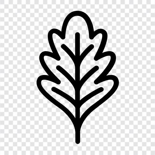 oak tree, leaves, tree, forest icon svg