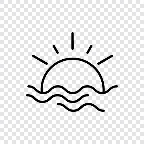 Meer, Meereslebewesen, Meerufer, Schwimmen symbol