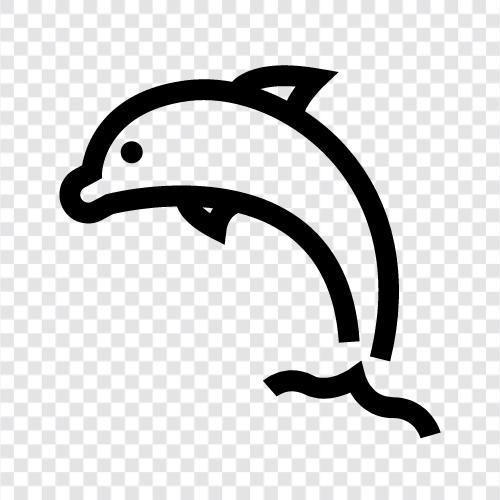 Meer, Wal, Seehecht, Schweinswal symbol