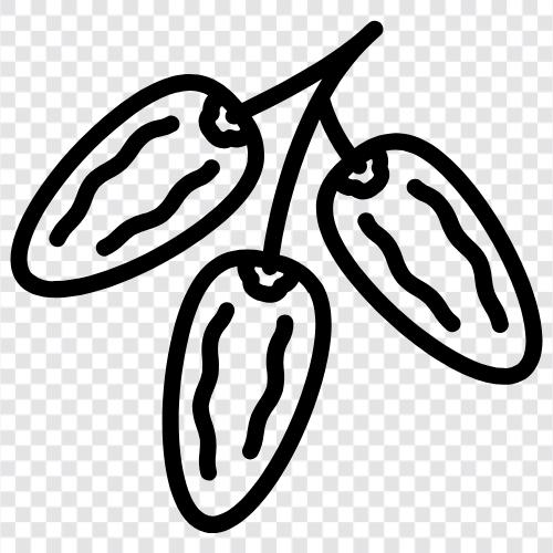 zeytinyağı, zeytin ağacı, zeytinyağı üretimi, zeytinyağı işleme ikon svg