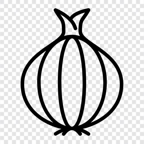 onion cultivation, onion growing, onion varieties, onion farming icon svg