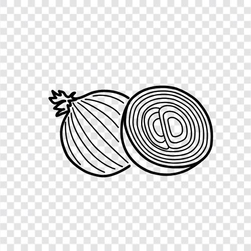 onion, garlic, vegetable, cooking icon svg