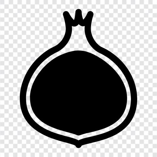 onion skin, onion cultivation, onion seed, onion seed saving icon svg