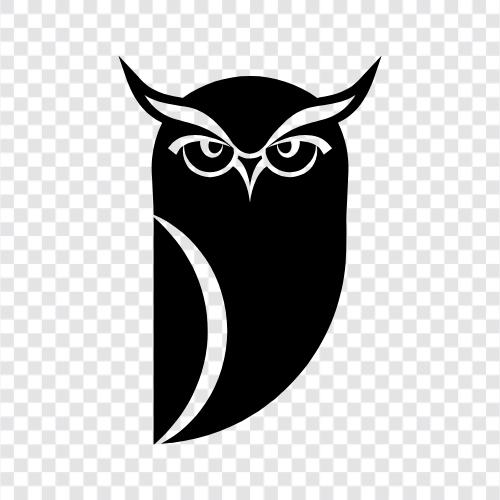 owl eye, owl glasses, owl hoodie, owl scarf icon svg