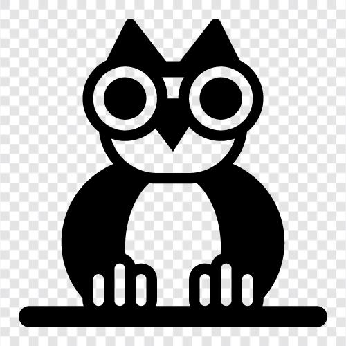 owl eyes, owl facts, owl costume, owl identification icon svg