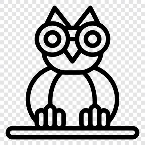 Owl eyes, Owl sitting, Owl feathers, Owl feathers for sale icon svg