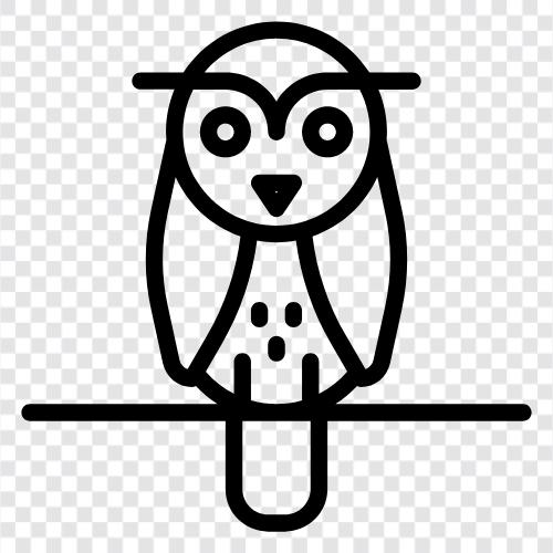 owl eyes, owl behavior, owl habitat, owl diet icon svg