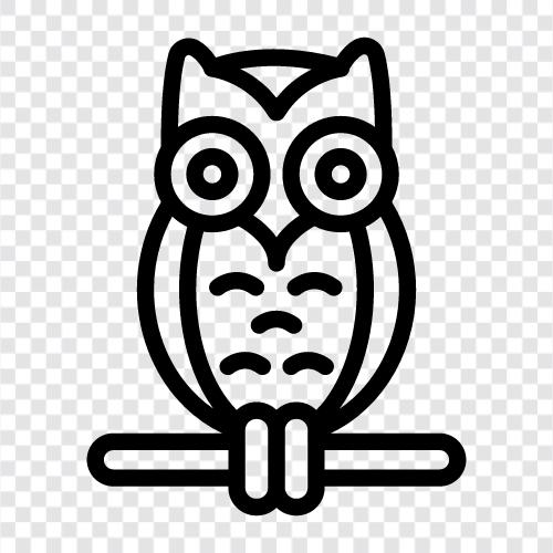 owl eyes, barn owl, owl pellets, owl nest icon svg
