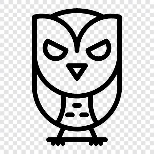 owl icon svg