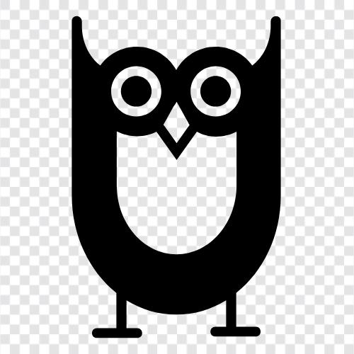 baykuş, owl ikon svg