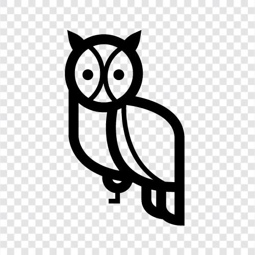 baykuş, owl ikon svg
