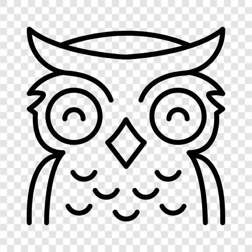 owl icon svg