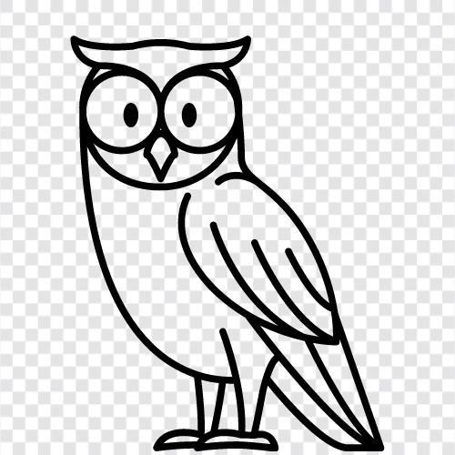 owl icon svg