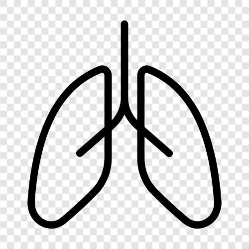 oxygen, breathing, lungs, diseases icon svg