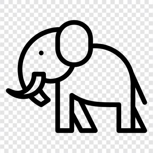 pachyderm, hayvan, büyük, Elephant ikon svg