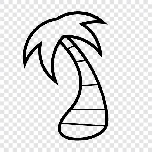 Palm, Tree, Palm Leaves, Palm Fronds icon svg