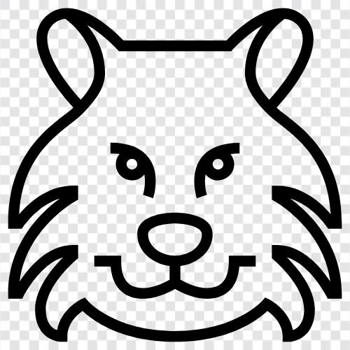 panther, cougar, big cat, wildcat icon svg