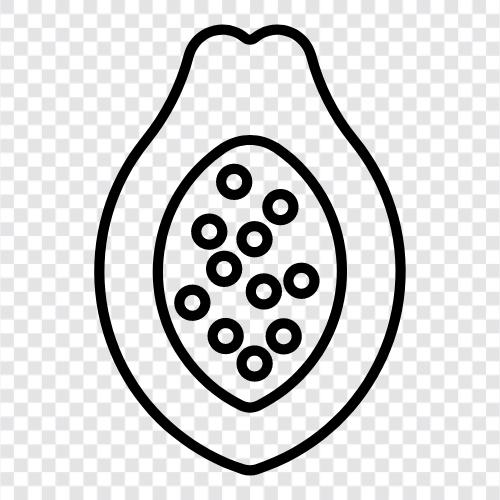 papaya meyvesi, papaya bitkisi, papaya ağacı, papaya ikon svg