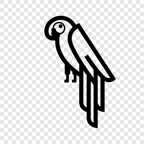 Papageien, Psittacula, Aras, Ps symbol