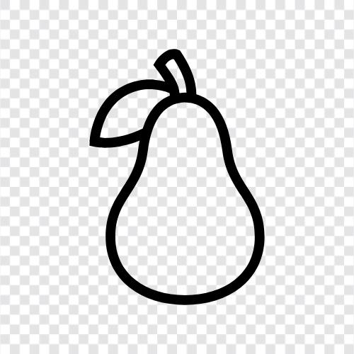 pear fruit, pear crop, pear farming, pear orchard icon svg