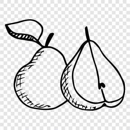 pear, fruit, produce, healthy icon svg