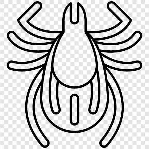 haşere, böcek, arthropod, küçük ikon svg