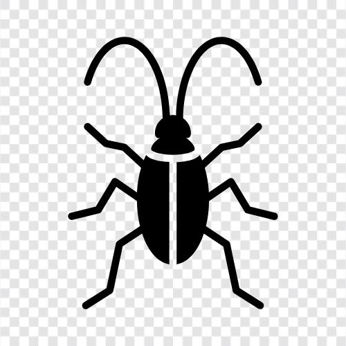 pest, insect, roach, bug icon svg