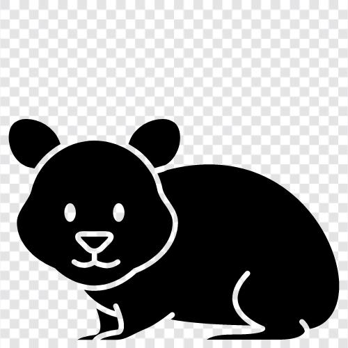 pet, animal, rodent, teddy icon svg