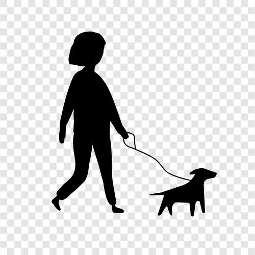 haustier, hund, zu Fuß, dog trainer symbol