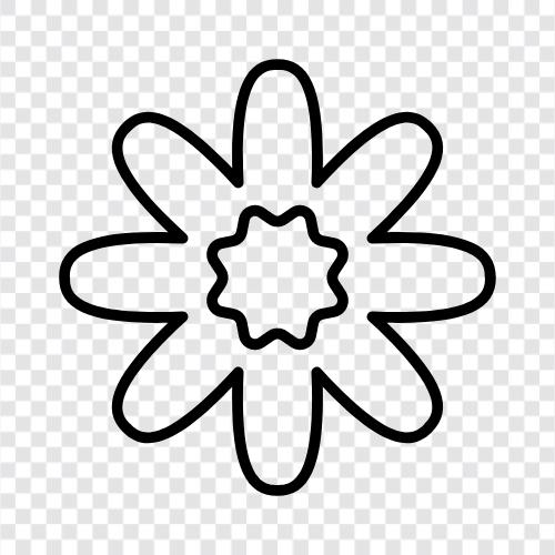 petal, blossom, color, design icon svg