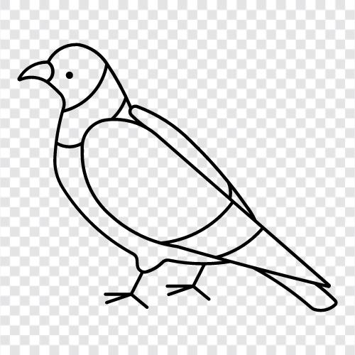 pigeon house, pigeon fanciers, pigeon racing, pigeon breeding icon svg