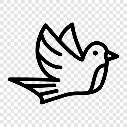 Güvercin yarışı, pigeon yarış güvercini, pigeon ikon svg