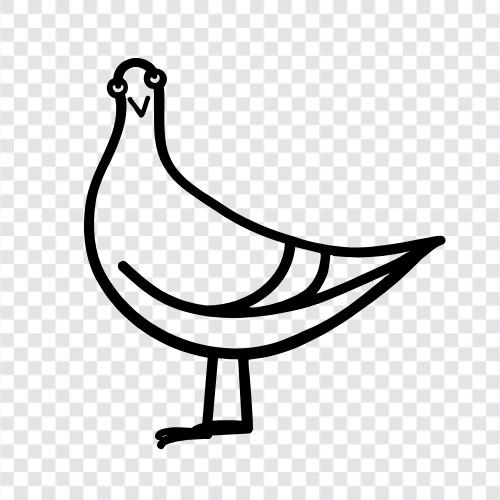 pigeonhole, pigeonhole theory, pigeonholing, pigeonhole principle icon svg