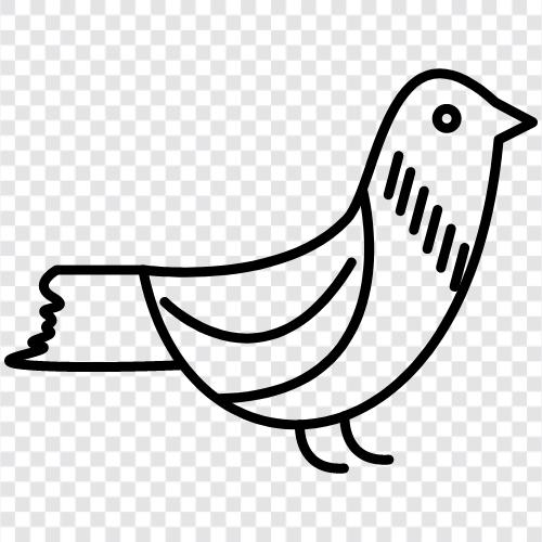 pigeonhole, pigeonhole theory, pigeonholing, pigeonhole test icon svg