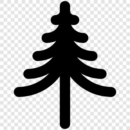 pine, tree, shrub, pine tree icon svg