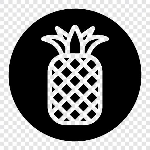 Ananas, Obst, tropisch, gesund symbol