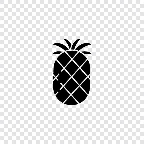 pineapple fruit, tropical fruit, sweet fruit, delicious fruit icon svg