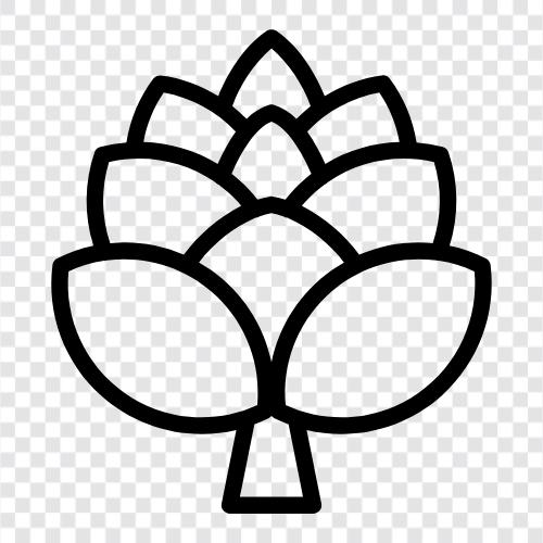 Kiefernzapfen, Pflanze, Bäume, Blätter symbol
