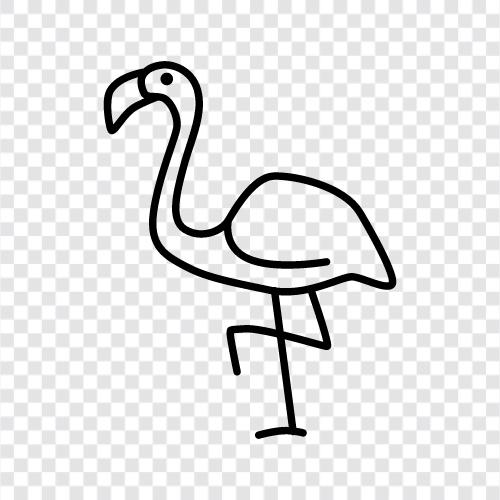 pembe, pembe flamingo, pembe flamingo resim, pembe flamingo duvar kağıdı ikon svg